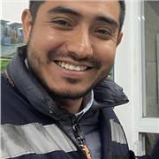 Maestro de computación, puede ser en linea o personal